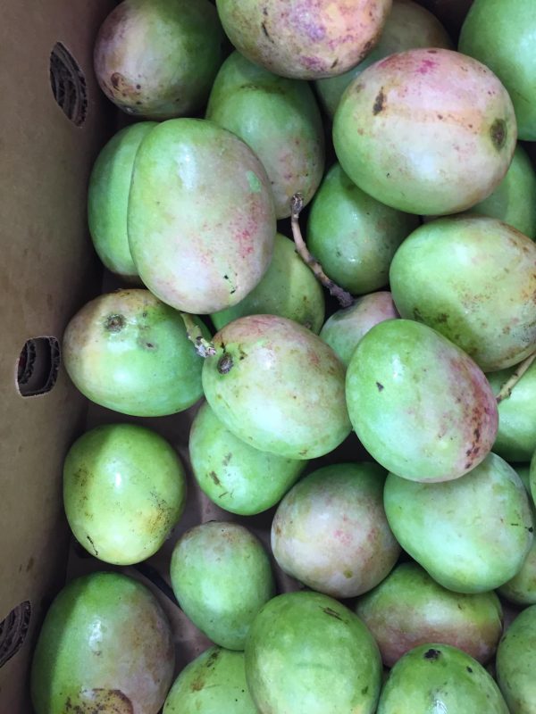 Green mango /per kg
