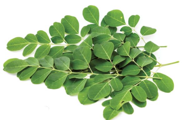 Moringa/Malunggay/Drumstick Leaves/kg