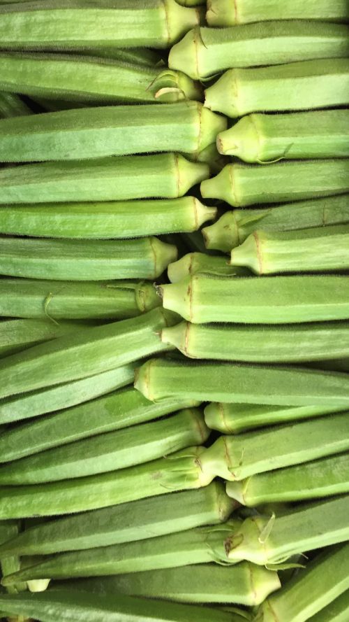 Okra standard  /per kg