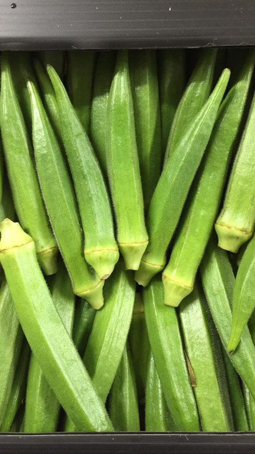 Okra New/kg