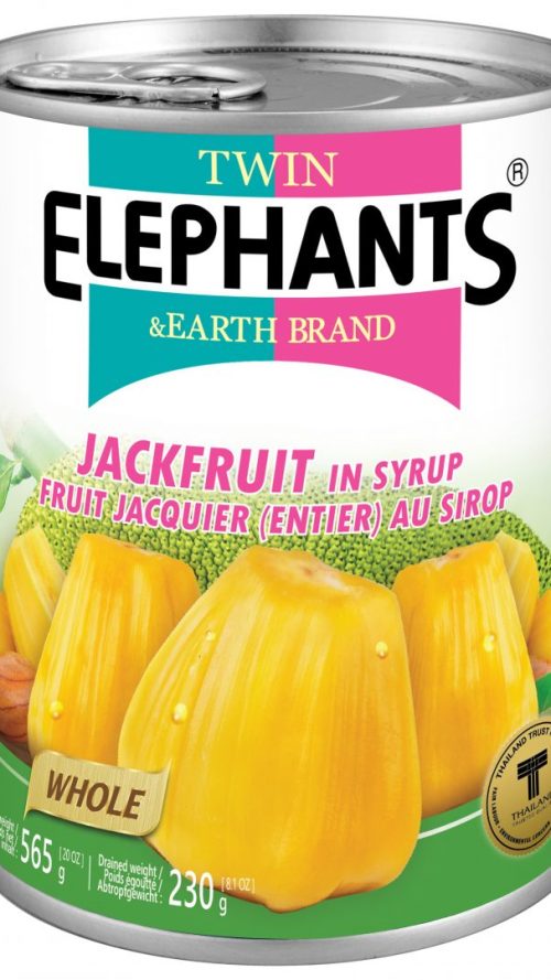T.E. Jackfruit in Syrup 565g