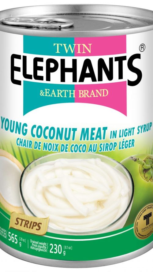 T.E. Young Coconut Meat (Stppd) in Syrup 565g