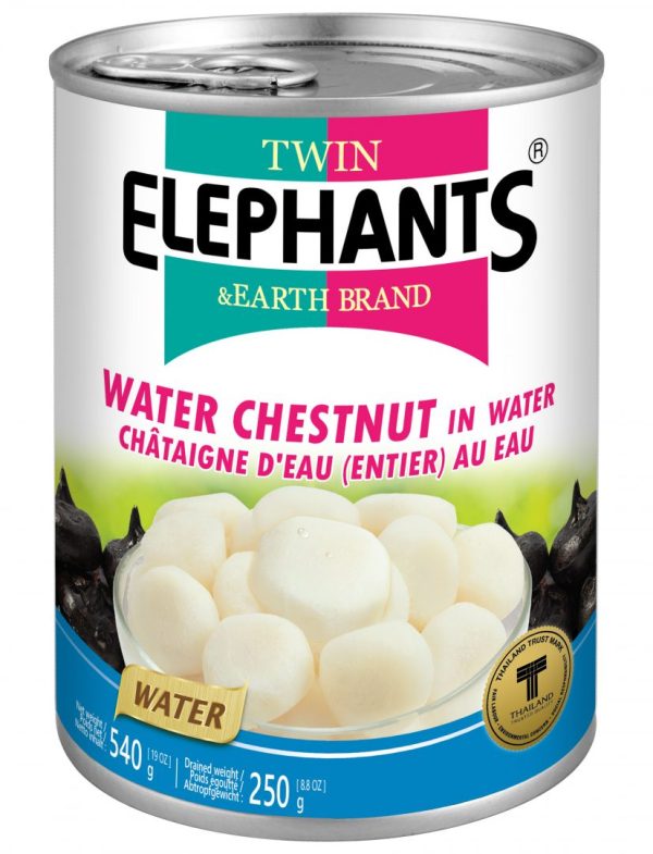 T.E Water Chestnut Sliced 540g
