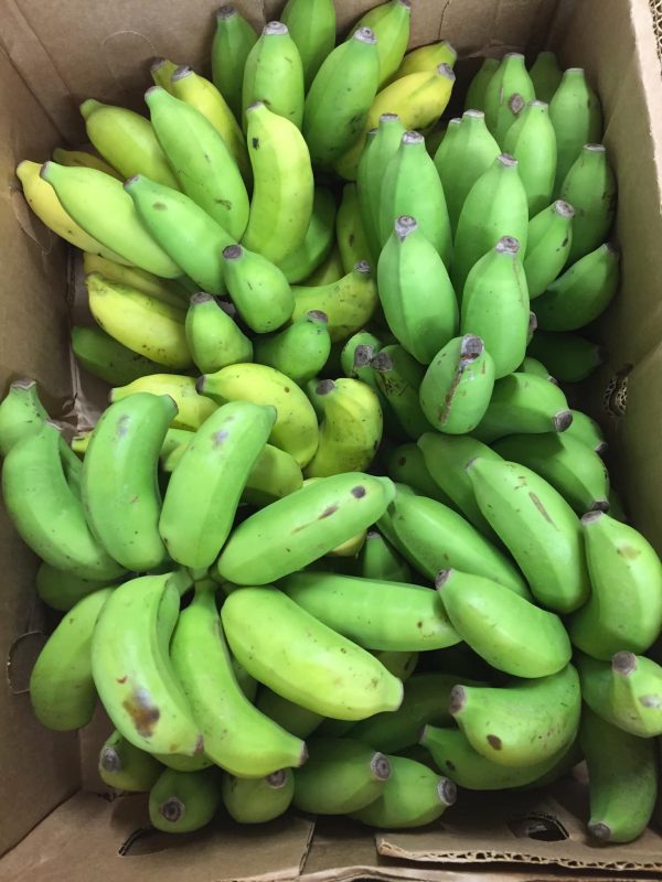 Small Banana /kg