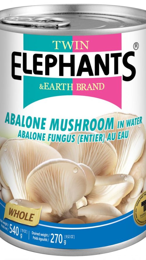 T.E Abalone Mushroom 540g