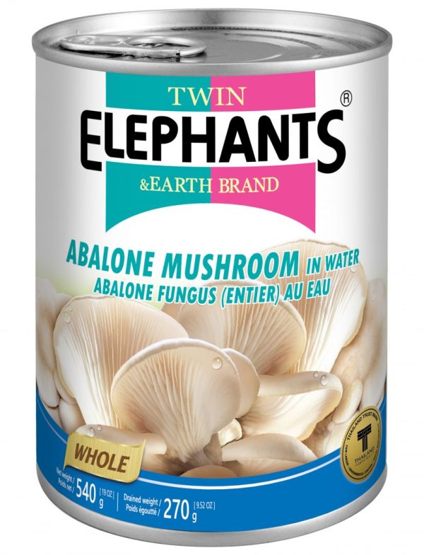 T.E Abalone Mushroom 540g