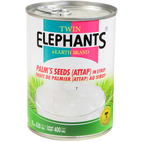 T.E.Palm Seed Attap in Syrup 620g