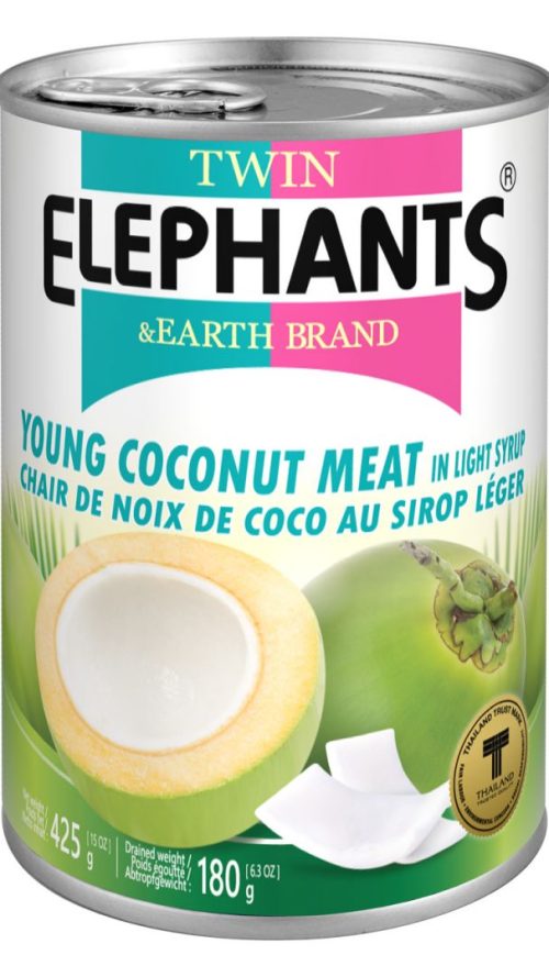 T.E. Young Coconut Meat in Syrup 425g