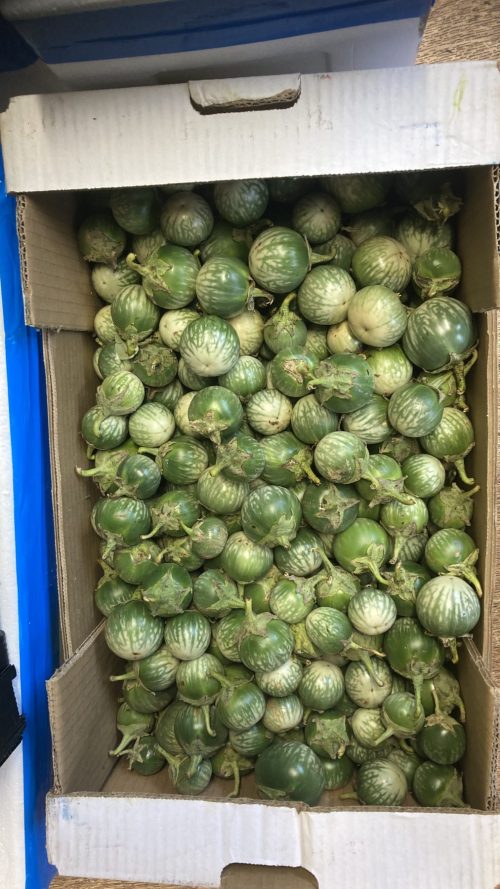 Small Green Aubergines /kg