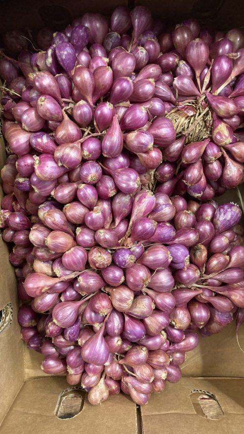 Shallots /kg