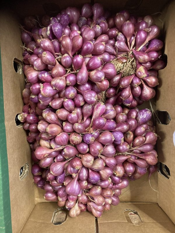Shallots /kg