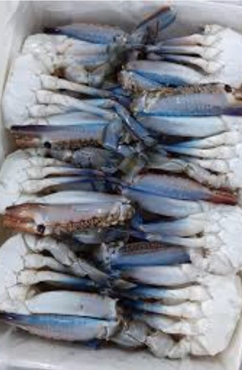 BSCC Blue Swimming Cut Crab 1kg