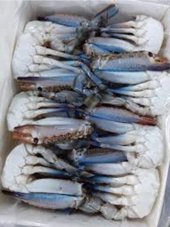 Blue Swimming Cut Crab 1kg